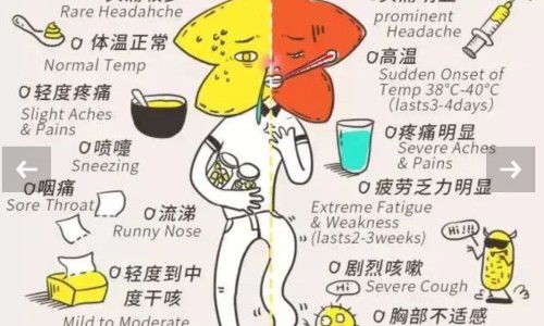 湿疹吃什么中药最好最见效专区_湿疹中药治疗配方专区_什么中药治疗湿疹网