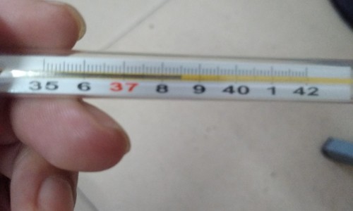 蝉蜕配什么中药治疗湿疹-湿疹吃什么中药最好最见效专区_湿疹中药治疗配方专区_什么中药治疗湿疹网